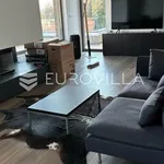 Rent 3 bedroom house of 254 m² in Zagreb