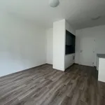 Pronajměte si 1 ložnic/e byt o rozloze 28 m² v Pilsen