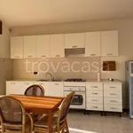 Rent 2 bedroom apartment of 55 m² in Verona