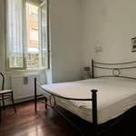 Rent 2 bedroom apartment of 46 m² in Piacenza