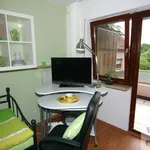 Rent 1 bedroom apartment of 19 m² in Erlangen