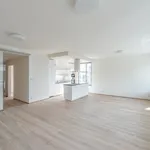 Rent 4 bedroom apartment of 110 m² in Prague