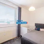 Rent 3 bedroom apartment in Olomouc