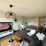 Rent 1 bedroom apartment in Ghent