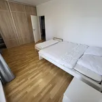 Pronajměte si 3 ložnic/e byt o rozloze 282 m² v Ostrava