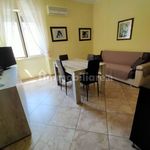 Rent 2 bedroom apartment of 85 m² in Catania