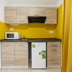 Rent 1 bedroom apartment in Brno