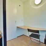 Rent 1 bedroom apartment of 75 m² in AMSTERDAM