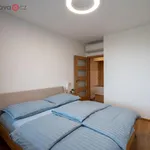 Rent 4 bedroom apartment of 40 m² in Zlín