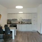 Rent 2 bedroom apartment of 47 m² in Budapest