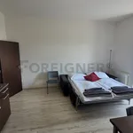 Rent 1 bedroom apartment of 44 m² in Brno