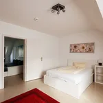 Rent 1 bedroom apartment of 581 m² in Dusseldorf