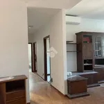 Rent 4 bedroom apartment of 85 m² in Bologna