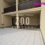 Rent 1 bedroom apartment of 24 m² in České Budějovice