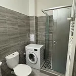 Rent 1 bedroom apartment in Přerov