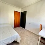 Alquilar 5 dormitorio apartamento en Alicante