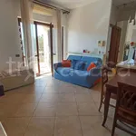 Rent 3 bedroom apartment of 80 m² in Rome