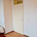 Huur 1 slaapkamer appartement van 40 m² in Den Haag