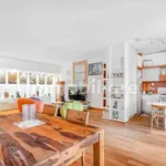 Rent 4 bedroom apartment of 160 m² in Milano