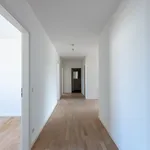 Rent 4 bedroom apartment of 117 m² in Leipzig