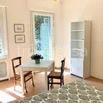 Rent 1 bedroom apartment of 30 m² in Verona