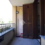 Rent 3 bedroom apartment of 80 m² in Brugherio