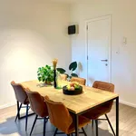 Rent 1 bedroom apartment in Antwerpen