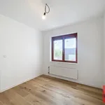 Huur 1 slaapkamer appartement in Antwerpen