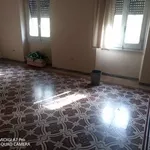 Rent 5 bedroom apartment of 130 m² in Lanciano