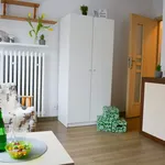 Rent a room in Lodz