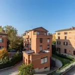 Rent 1 bedroom apartment in Bologna