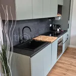 Rent 2 bedroom apartment of 60 m² in Turin