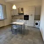 Rent 2 bedroom apartment of 50 m² in Pavia