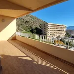 Rent 4 bedroom apartment in Ajaccio - 20000 