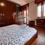 Rent 3 bedroom apartment of 80 m² in Fagnano Olona