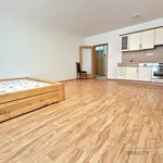 Rent 1 bedroom apartment in Brno