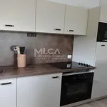  appartement avec 1 chambre(s) en location à Antibes