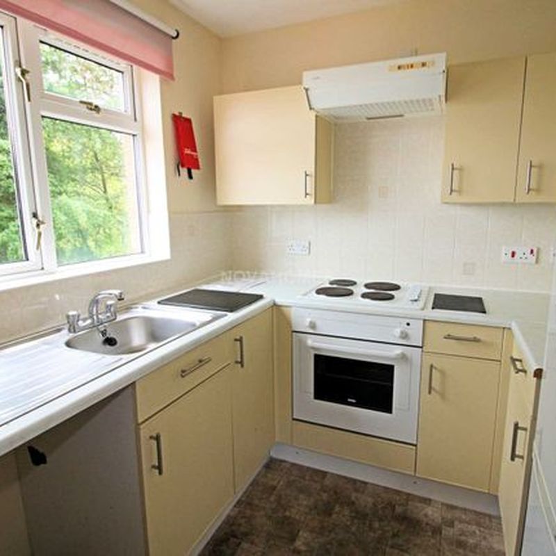 Studio to rent in College Dean Road, Derriford PL6