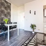 Rent 2 bedroom apartment of 40 m² in Cologne