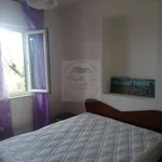 2-room flat via della Vite, Cisterna di Latina