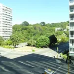 Rent 1 bedroom apartment in Wellington