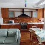 Rent 2 bedroom apartment of 73 m² in Milano