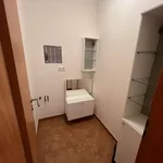 Rent 1 bedroom apartment in Praha 9