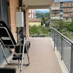 Rent 5 bedroom apartment of 145 m² in Ferentino