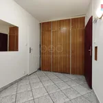 Rent 3 bedroom apartment of 83 m² in Zlín