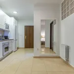 Rent 2 bedroom apartment of 45 m² in Málaga