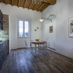 Rent 1 bedroom apartment of 45 m² in Florence