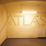 Rent 1 bedroom apartment of 50 m² in Prague