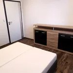 Rent 2 bedroom apartment in Brno