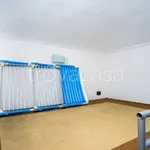 Rent 1 bedroom apartment of 35 m² in Torino